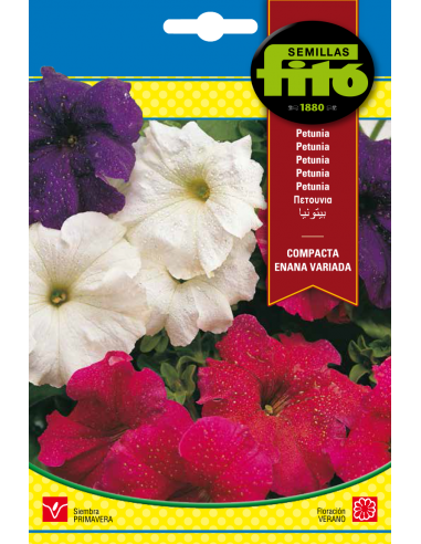 Petunia Dwarf Compact Mix (0,6 g)