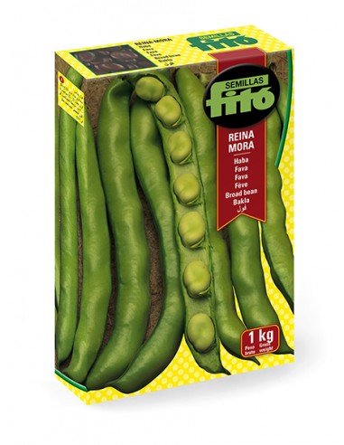 Broad bean Reina mora (1kg)