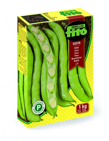 Broad bean Sofia (1kg)