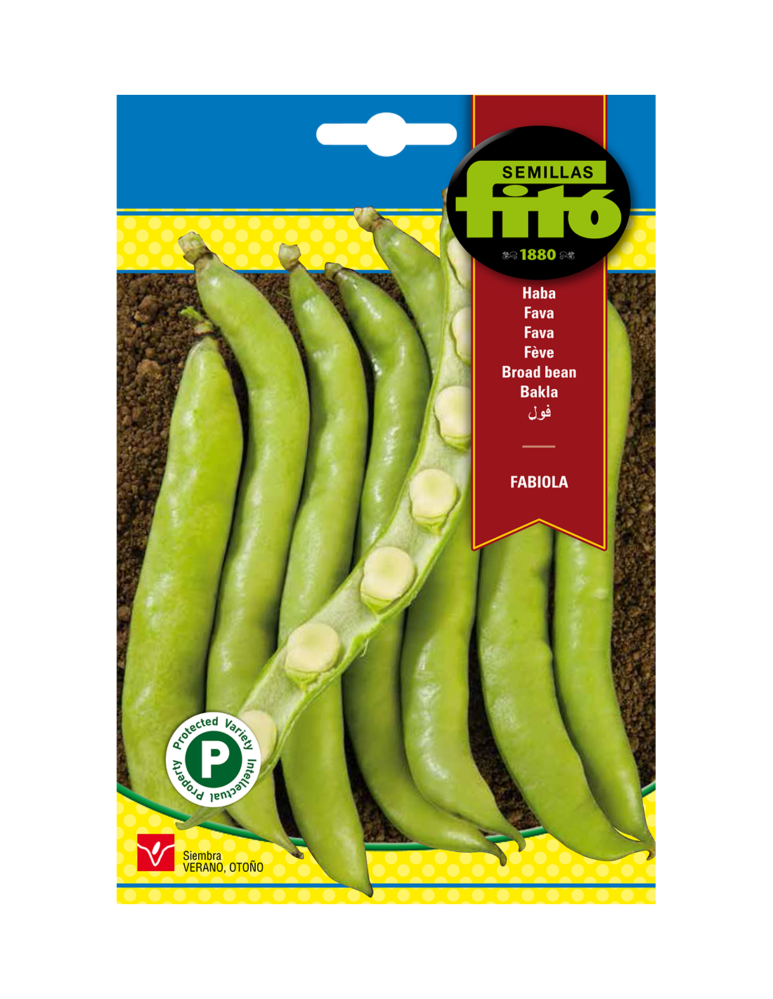 broad-bean-fabiola-25-seeds