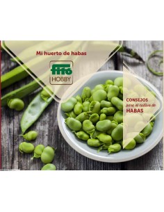 Sales folder: broad beans (ES)