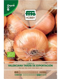 Onion Valenciana Tardía de...