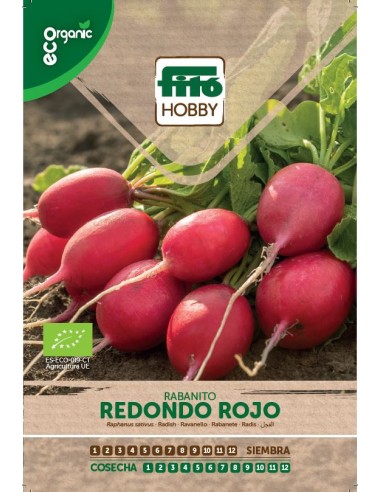 Radish Redondo Rojo - Vermell ECO (5 g)