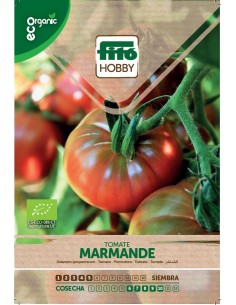 Tomato Marmande -...