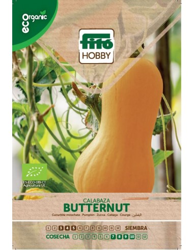 Calabaza Butternut Eco