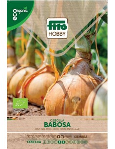 Onion Babosa Eco