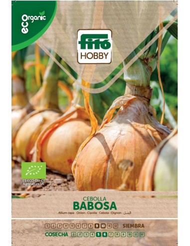 Onion Babosa Eco