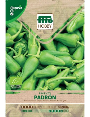 Pimiento Padron Eco