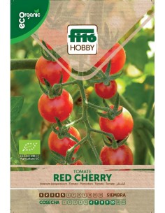 Tomate cherry Eco