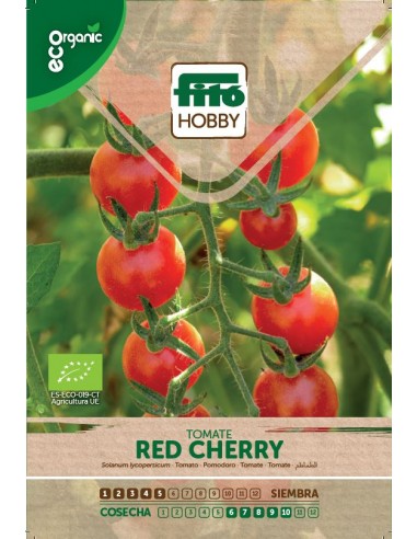 Tomate cherry Eco