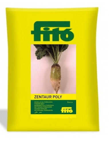 Forage Beet Blanca Zentaur Poly (250 g)