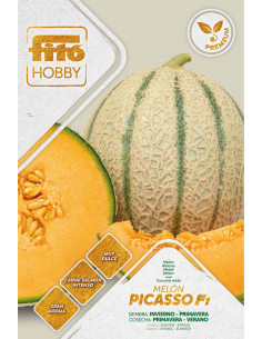 Melon Picasso Premium (60...