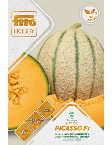 Melon Picasso Premium (60 seeds)