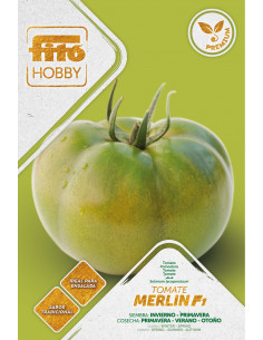 Tomato Merlín Premium (70...