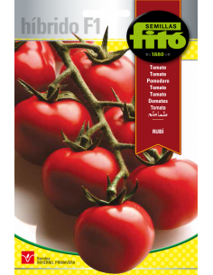 Tomate Rubí (70 semillas)