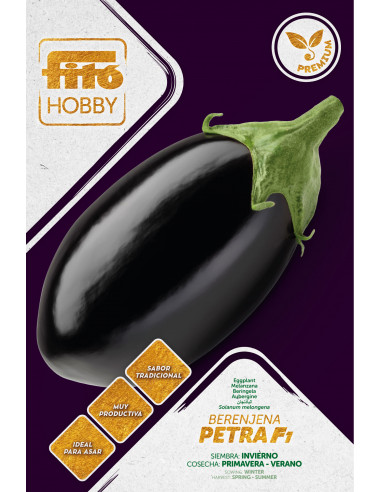 Eggplant Petra Premium (70 seeds)