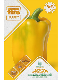 Pepper Lamuyo yellow Premium