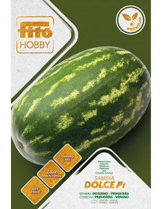 Watermelon Dolce Premium
