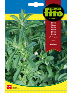 Stevia (30 seeds)
