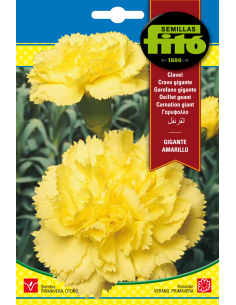 Carnation Giant Yellow (0,8 g)