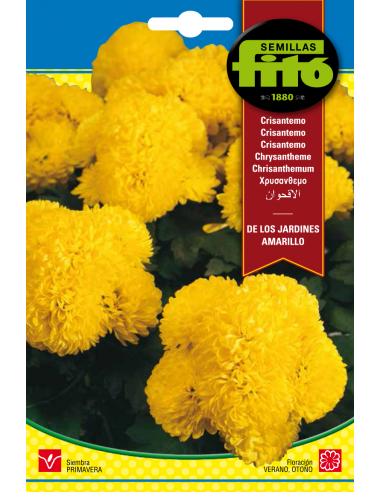 Chysanthemum Yellow Coronarium (2 g)