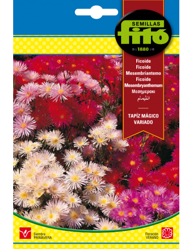 Mesembryanthemum Magic Carpet Mix (2 g)