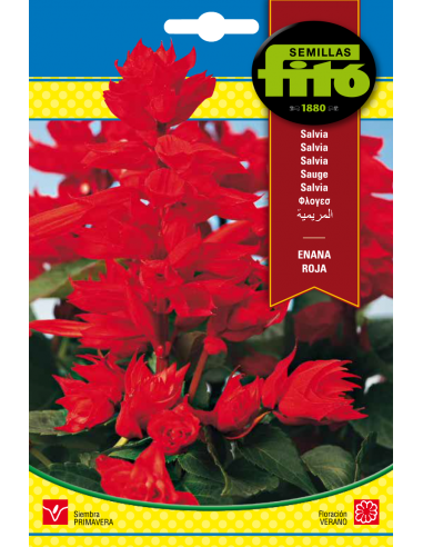 Salvia Enana Roja (0,7 g)