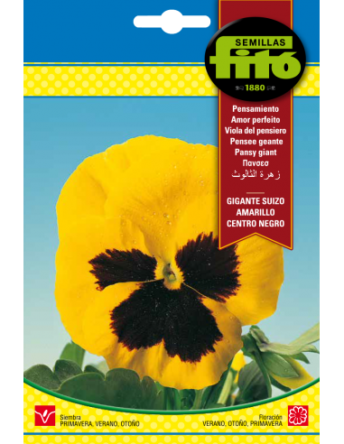 Pansy Swiss Giant Yellow Blotched...