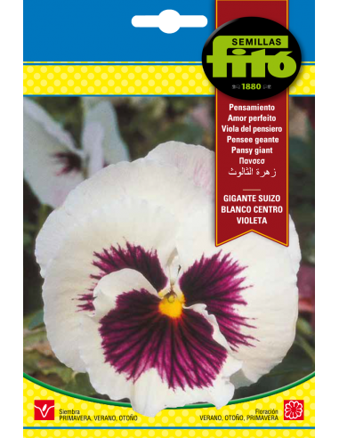 Pansy Swiss Giant White Blotched...
