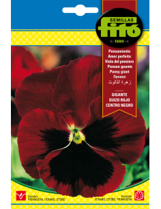 Pansy Swiss Giant Red...