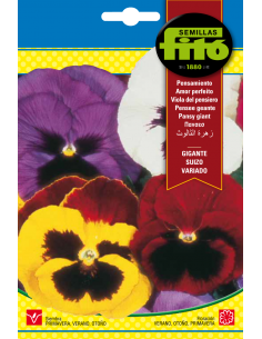 Pansy Swiss Giant Mixed...