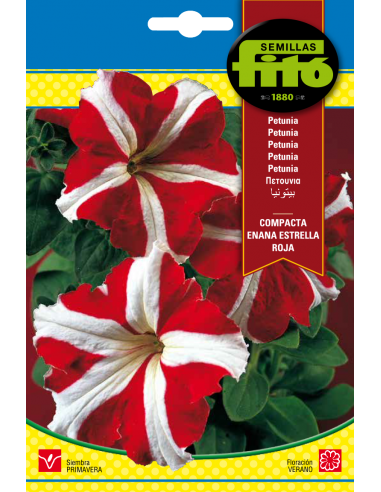 Petunia Dwarf Compact Red Star (0,6 g)