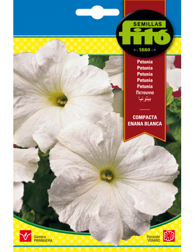 Petunia Dwarf Compact White (0,6 g)