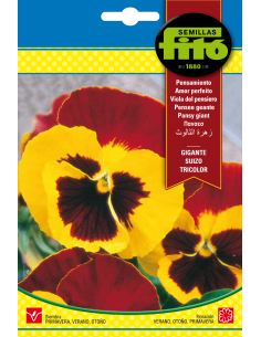 Pansy Swiss Giant Tricolor...