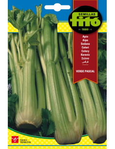Celery Verde Pascal (3 g)