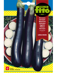 Eggplant Larga Negra (5 g)