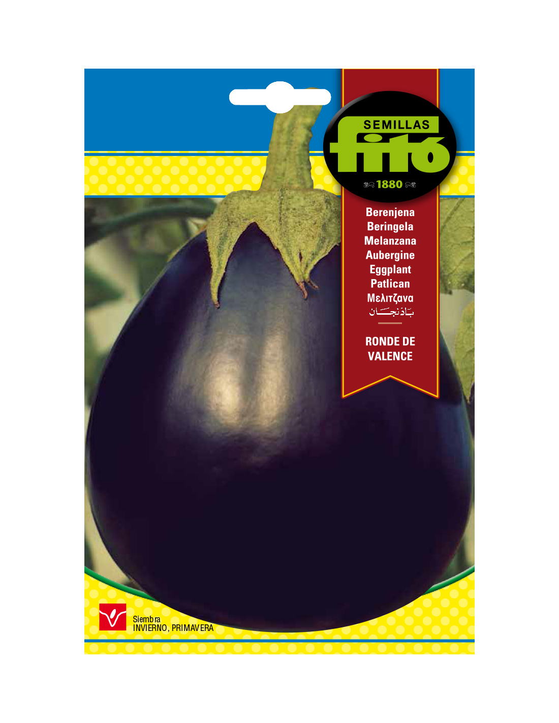 eggplant-ronde-de-valence-4-g