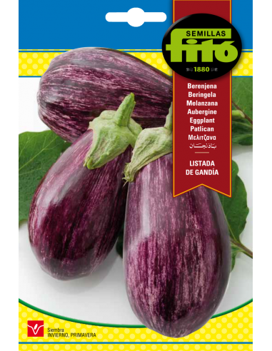 Eggplant Listada de Gandía (5 g)