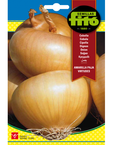 Onion Amarilla Paja Virtudes (7 g)