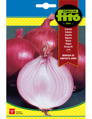 Onion Morada de Amposta - Arbo (7 g)