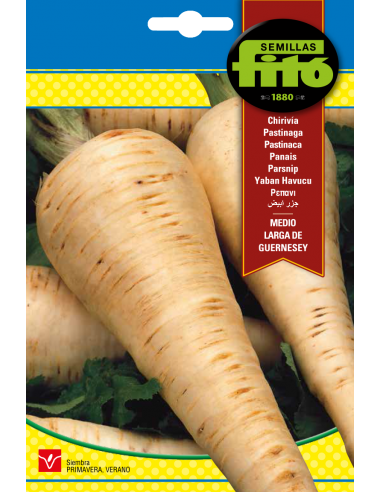 Parsnip  Medio Larga de Guernesey (10 g)