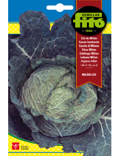 Cabbage Milán Leo (8 g)