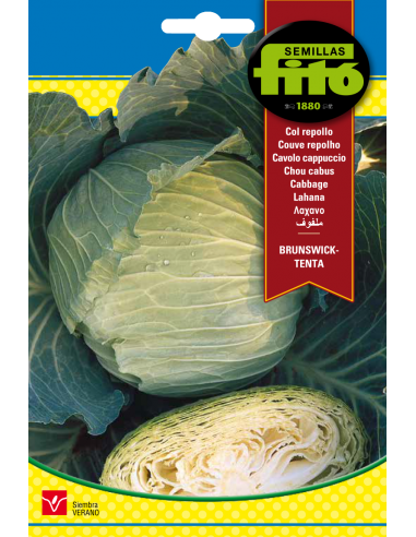Cabbage Brunswick - Tenta (8 g)