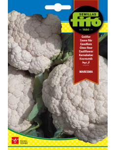 Cauliflower Maresma (4 g)
