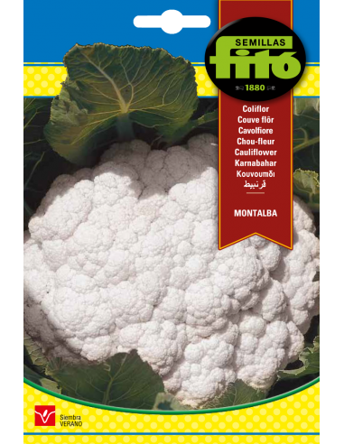 Cauliflower Montalba (4 g)