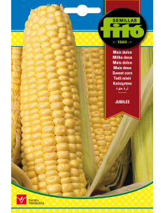 Supersweet Corn Jubilee (10 g)