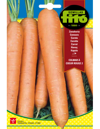 Carrot Colmar à Coeur Rouge 2 (15 g)