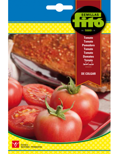 Tomato de Colgar (100 seeds)