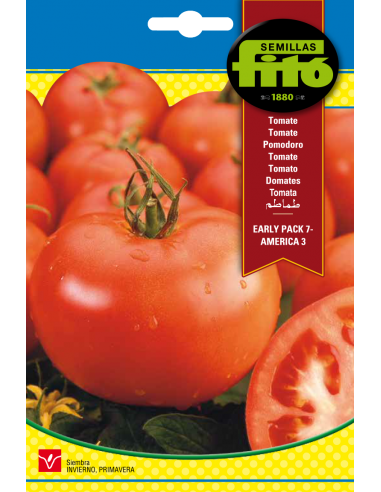 TOMATE EARLY PACK 7 - AMERICA 3 SUPERBOL