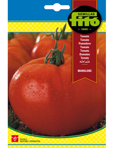 TOMATE MARGLOBE SUPERBOL